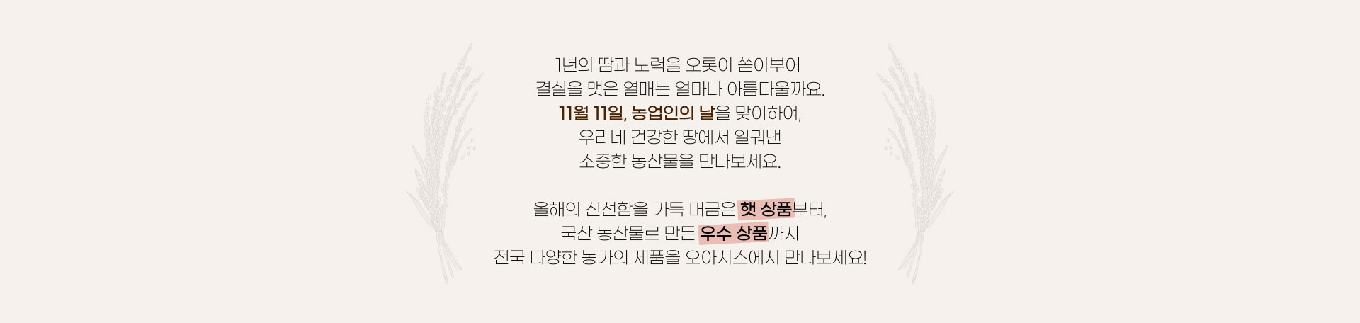 1년의 땀과 노력을 오롯이 쏟아부어 결실을 맺은 열매는 얼마나 아름다울까요. 11월 11일, 농업인의 날을 맞이하여, 우리네 건강한 땅에서 일궈낸 소중한 농산물을 만나보세요. 올해의 신선함을 가득 머금은 햇 상품부터, 국산 농산물로 만든 우수 상품까지 전국 다양한 농가의 제품을 오아시스에서 만나보세요!