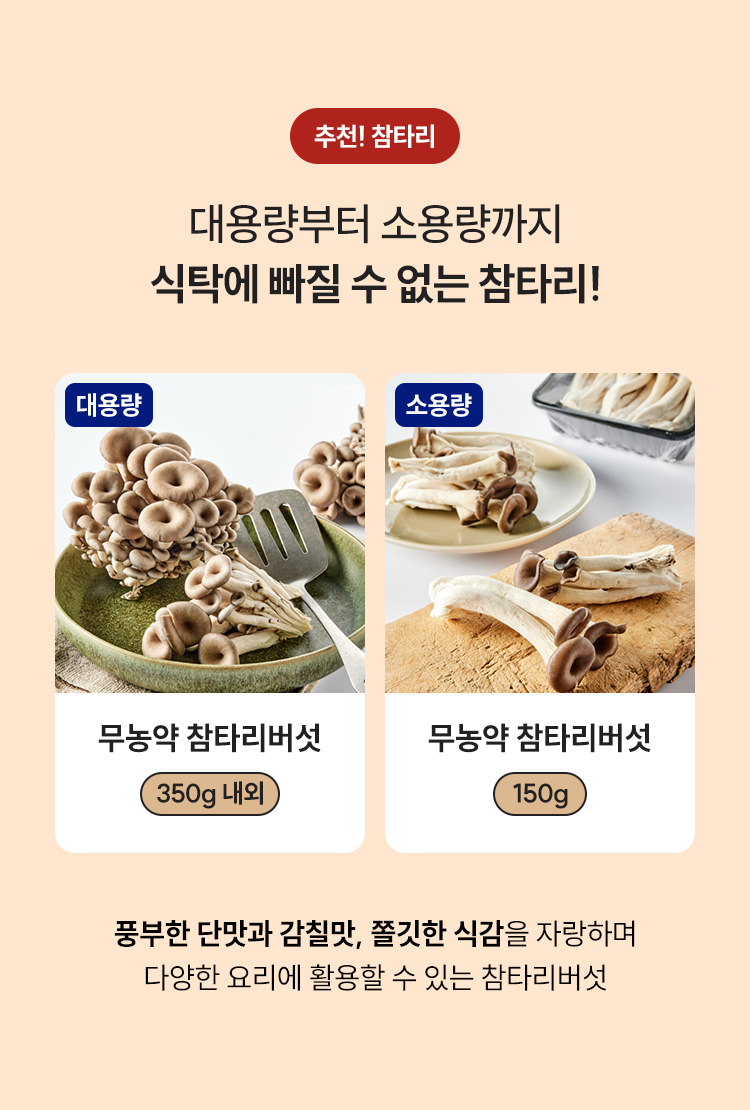 추천! 느타리 대용량부터 소용량까지 식탁에 빠질 수 없는 참타리!