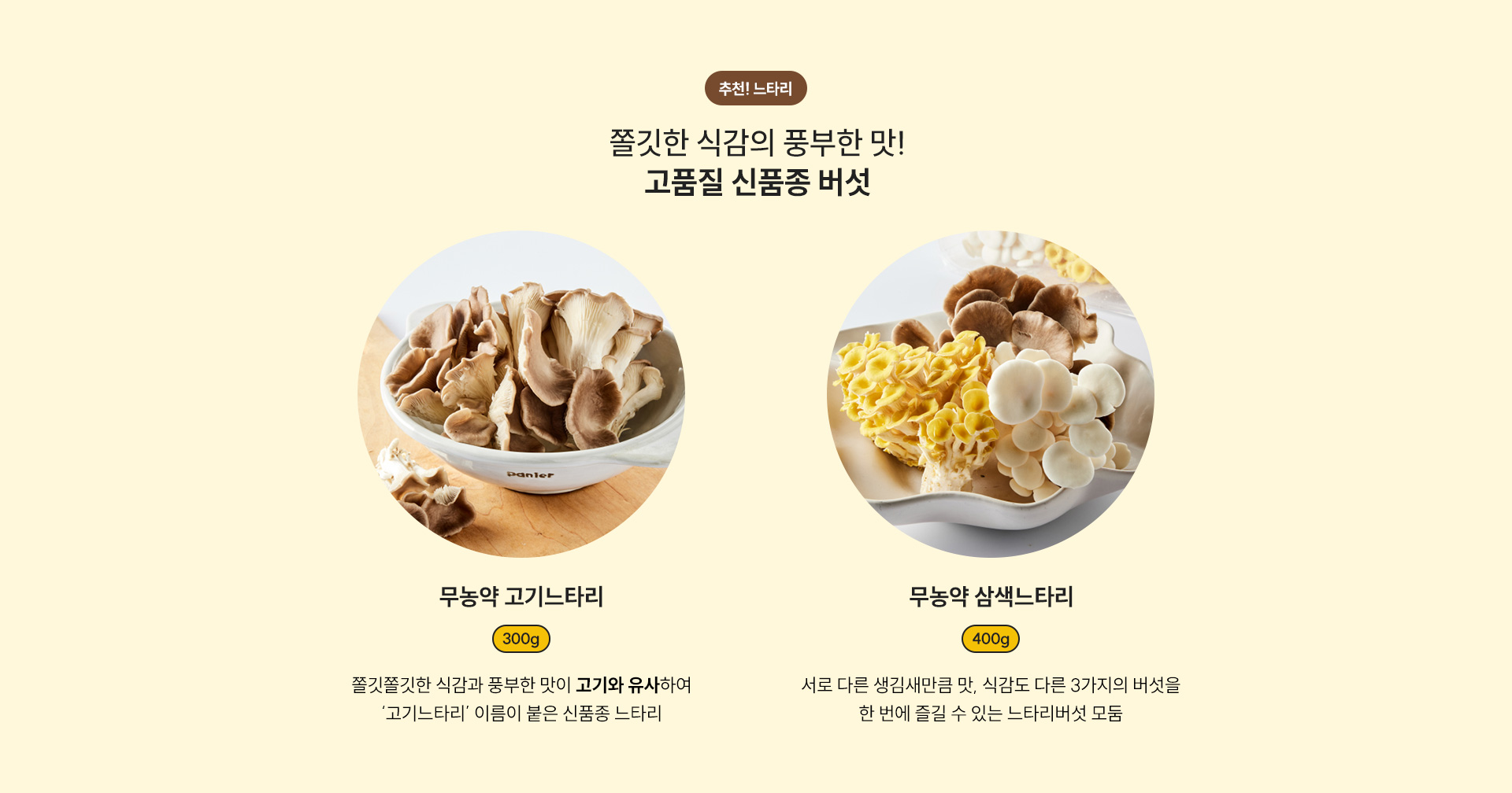 추천! 느타리 쫄깃한 식감의 풍부한 맛! 고품질 신품종 버섯