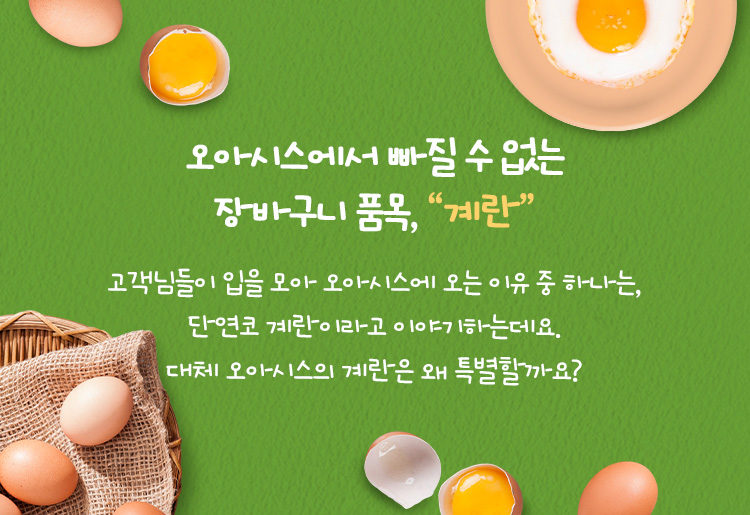 오아시스에서 빠질 수 없는 장바구니 품목, 계란