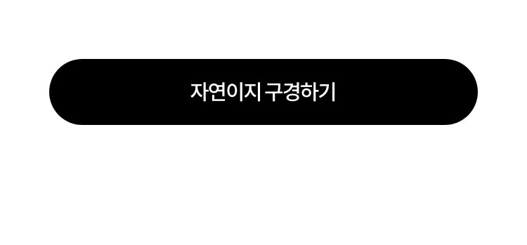 자연이지 구경하기