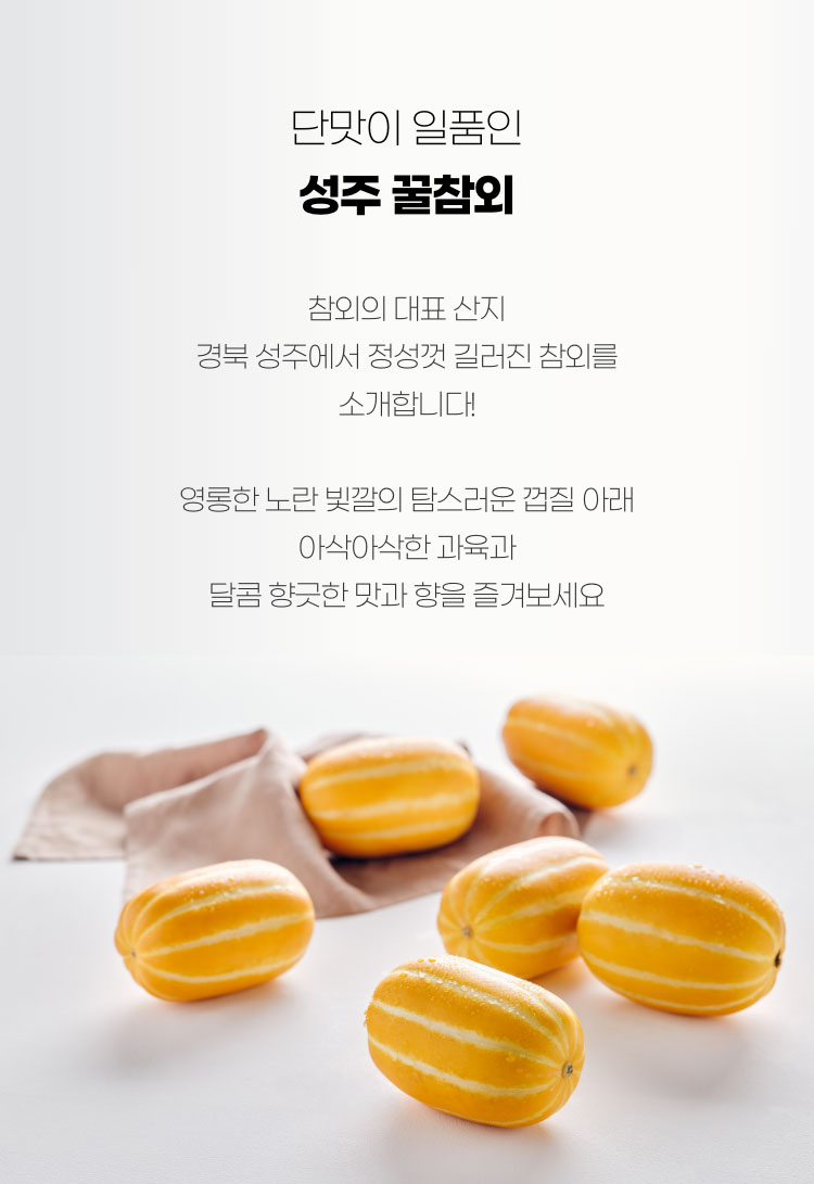 단맛이 일품인 성주 꿀참외 - 참외의 대표 산지 경북 성주에서 정성껏 길러진 참외를 소개합니다. 영롱한 노란 빛깔의 탐스러운 껍질아래 아삭아삭한 고육과 달콤 향긋한 맛과 향을 즐겨보세요