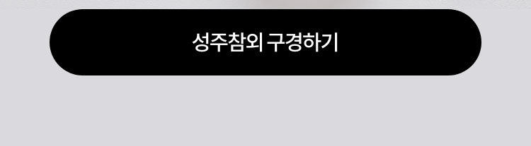 성주참외구경하기