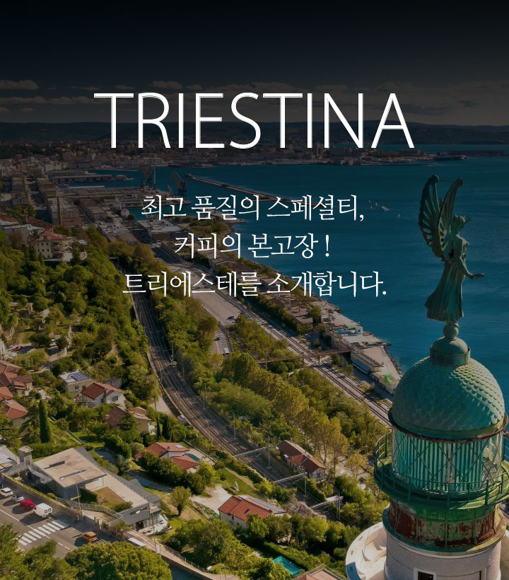 [TRIESTINA] 최고 품질의 스페셜티, 커피의 본고장! 트리에스테를 소개합니다.