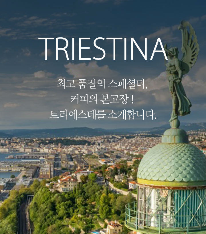 [TRIESTINA] 최고 품질의 스페셜티, 커피의 본고장! 트리에스테를 소개합니다.