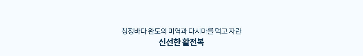 청정바다 완도의 미역과 다시다를 먹고 자란 신선한 활전복