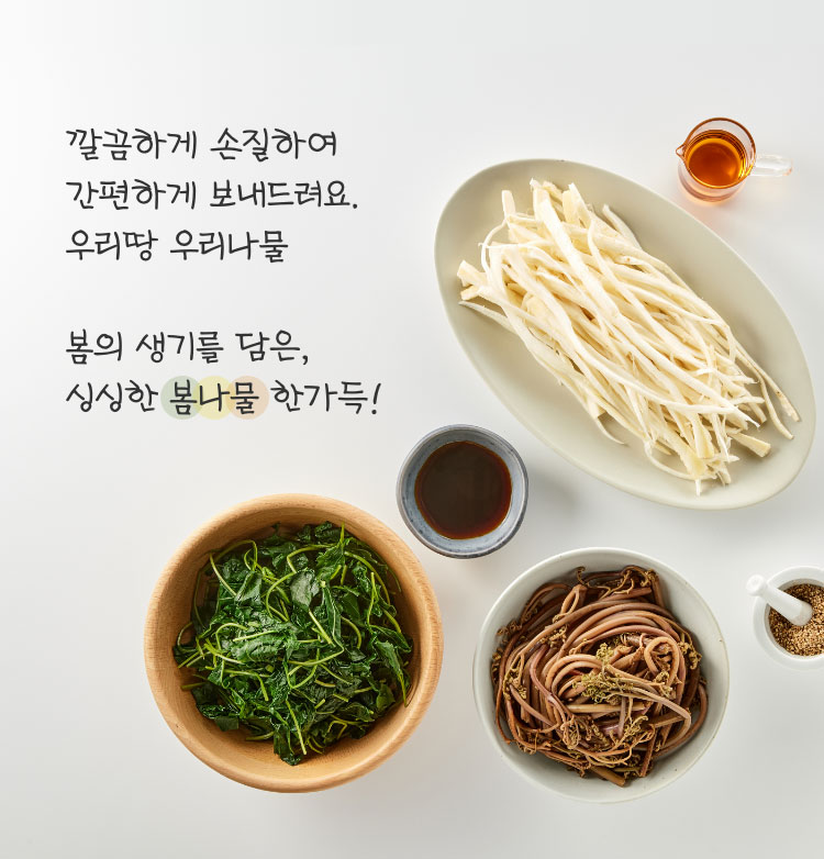 깔끔하게 손질하여 간편하게 우리땅 우리나물 - 나른한 입맛을 돋우는 향긋한 나물로 만드는 든든한 한 상 차림