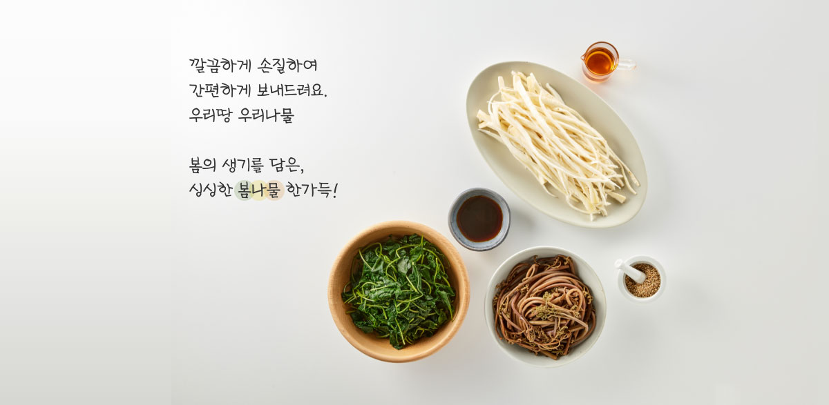 깔끔하게 손질하여 간편하게 우리땅 우리나물 - 나른한 입맛을 돋우는 향긋한 나물로 만드는 든든한 한 상 차림