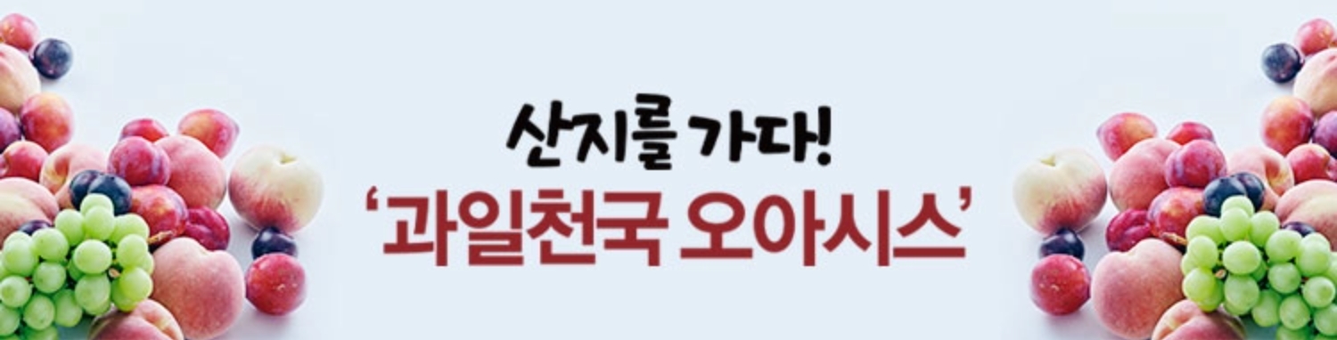 산지를 가다! 과일천국 오아시스