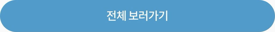 전체보기