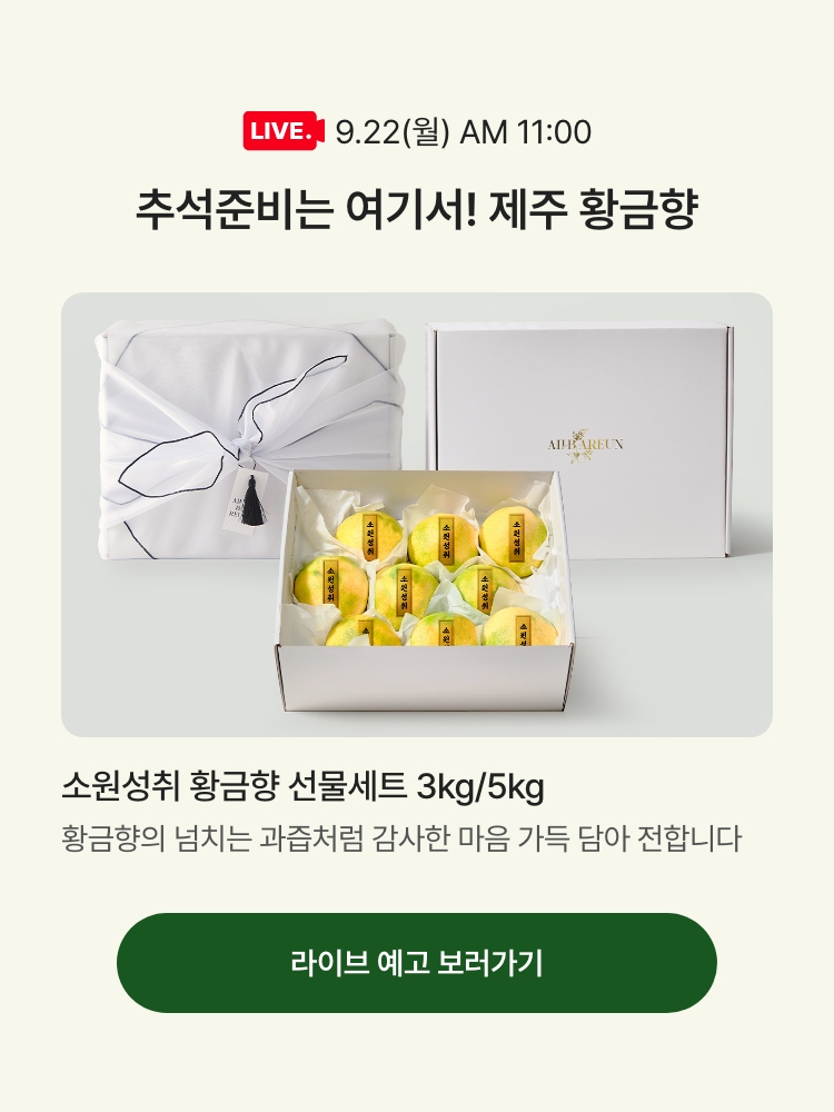 9.22(월) AM 11:00 / 추석준비는 여기서! 제주 황금향 