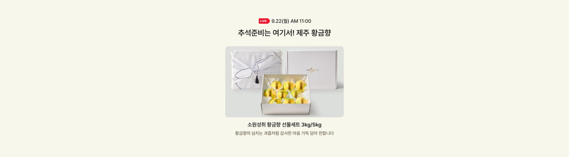 9.22(월) AM 11:00 / 추석준비는 여기서! 제주 황금향 