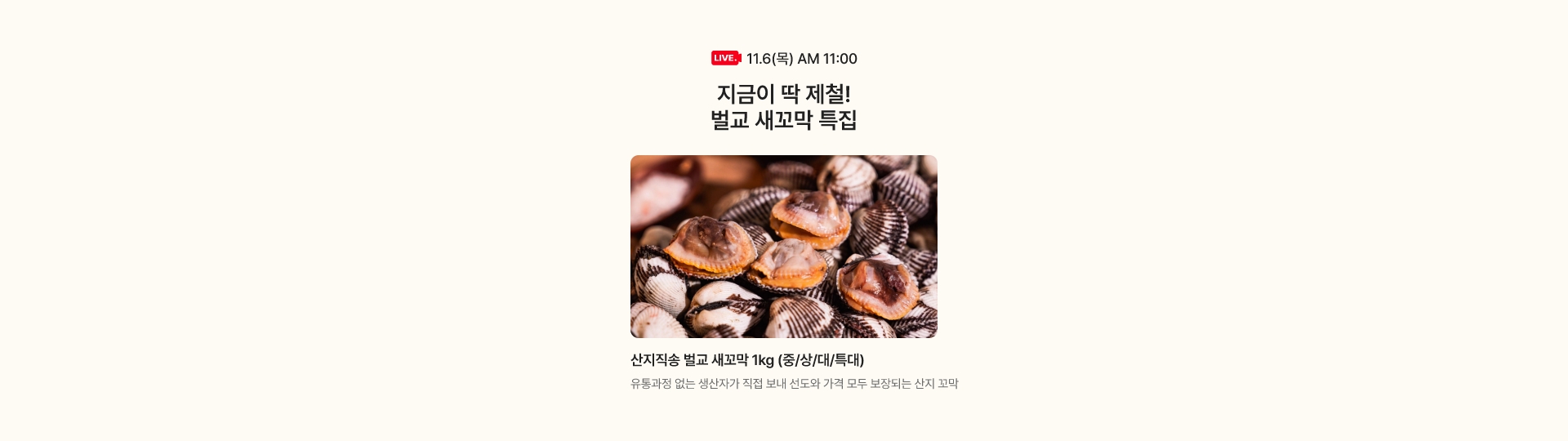 11.6(목) AM 11:00 - 벌교 새꼬막