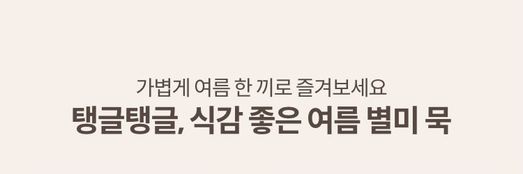 가볍게 여름 한 끼로 즐겨보세요. 탱글탱글, 식감 좋은 여름 별미 묵
