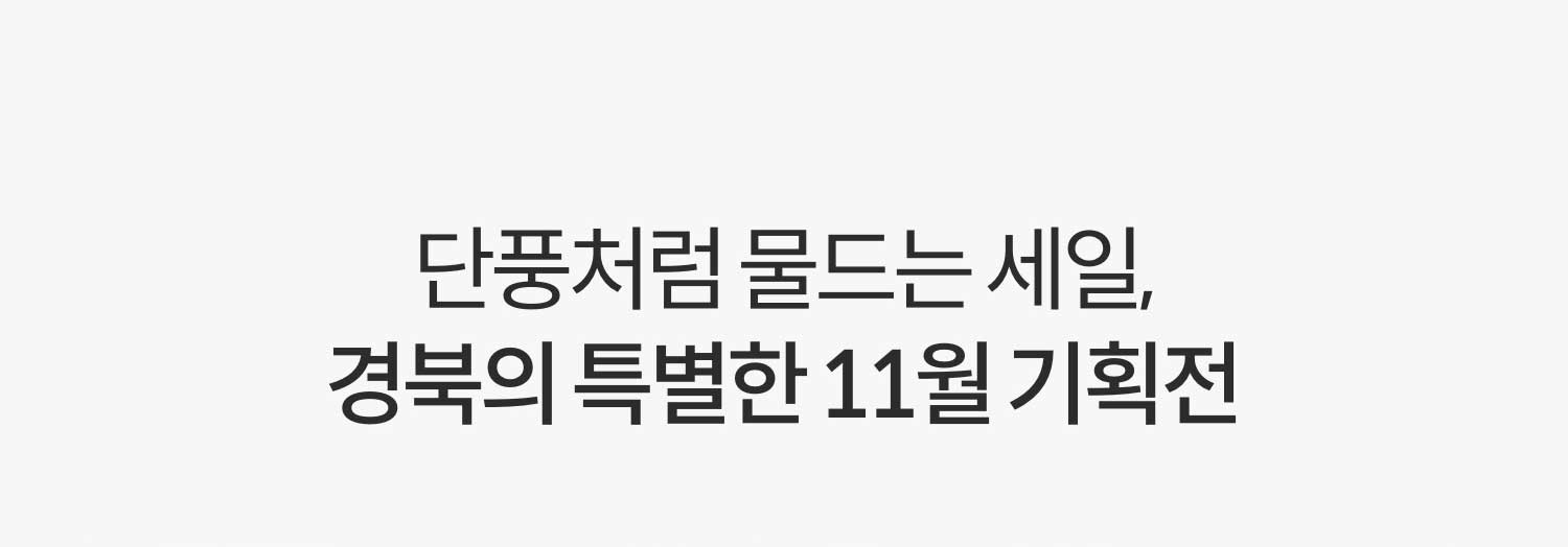 가을빛으로 물든 경북의 맛과 멋. 지금 꼭 맛봐야 할 경북 추천템