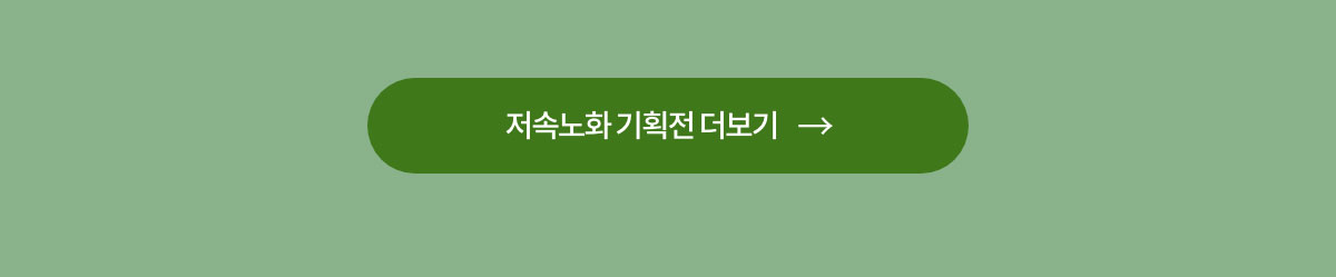 저속노화 기획전 더보기