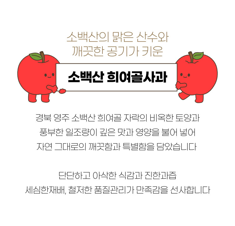 소백산의 맑은 산수와 깨끗한 공기가 키운 소백산 희여골사과