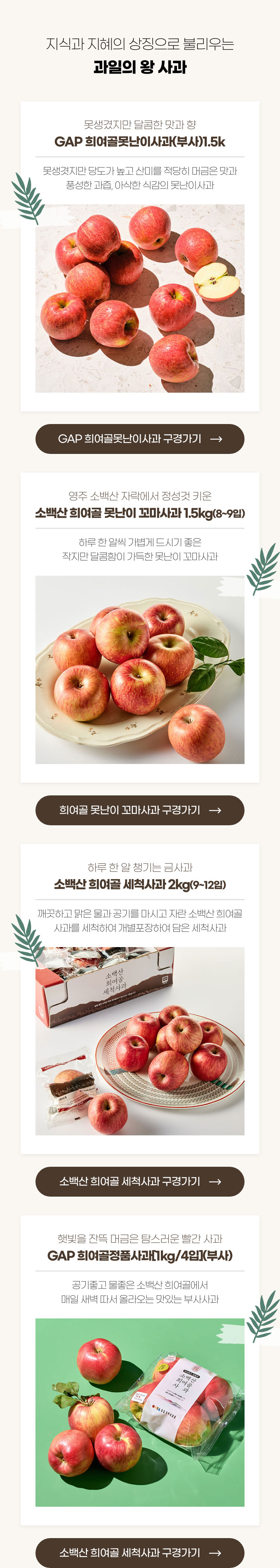 지식과 지혜의 상징으로 불리는 과일의 왕 사과