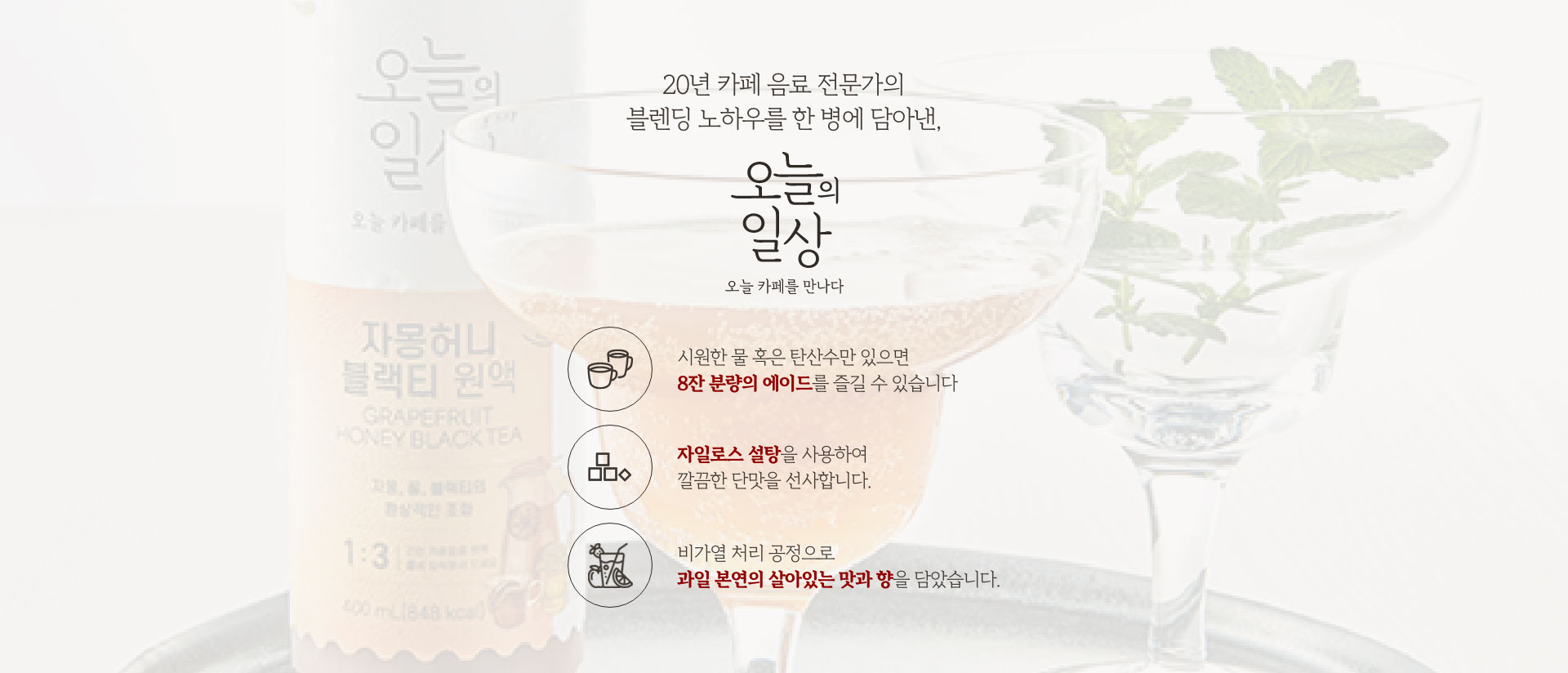 20년 카페 음료 전문가의 블렌딩 노하우를 한 병에 담아낸, 오늘의 일상 오늘 카페를 만나다.