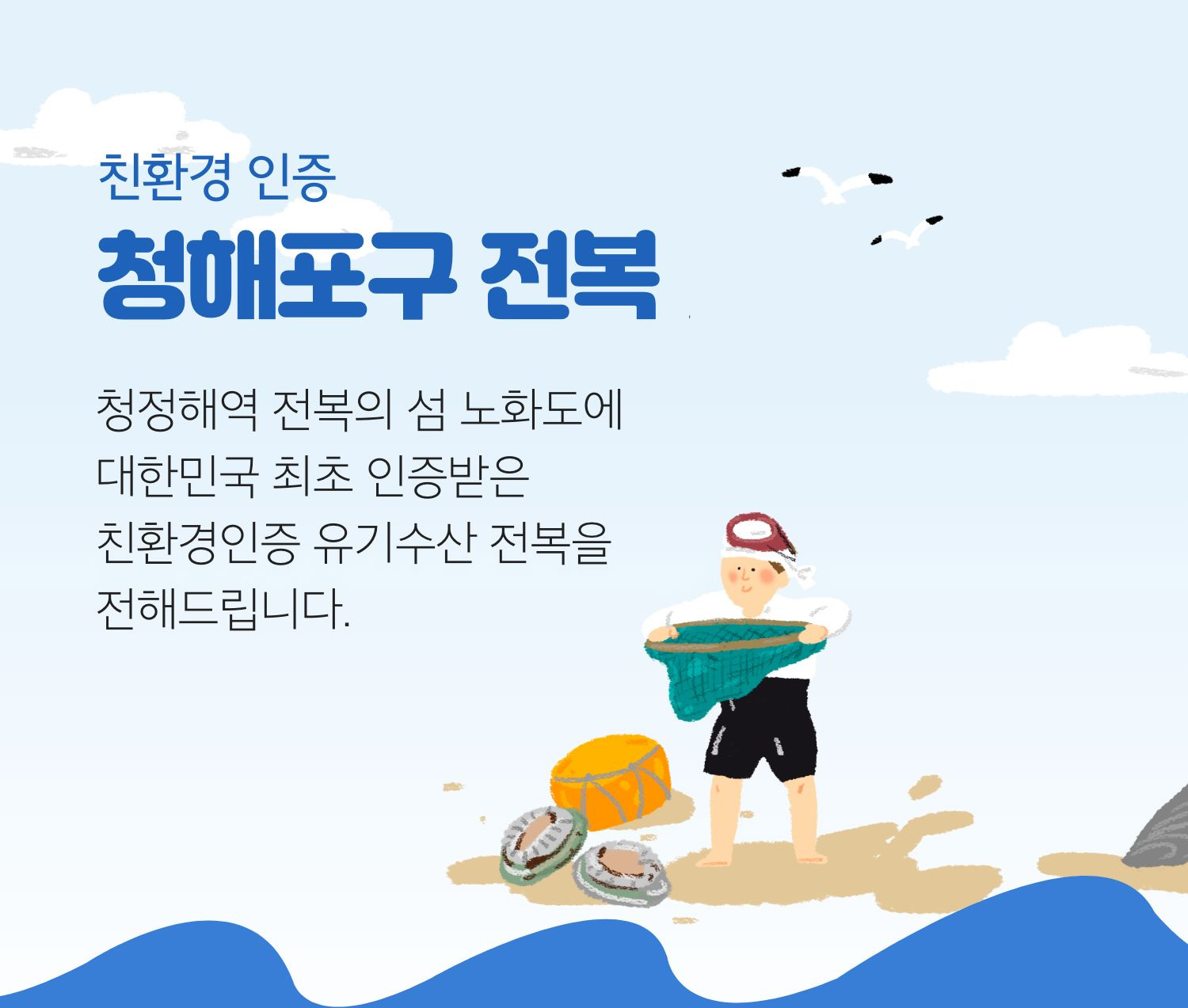 친환경 인증 청해포구 전복 | 청정해역 전복의 섬 노화도에 대한민국 최초 인증받은 친환경인증 유기수산 전복을 전해드립니다.