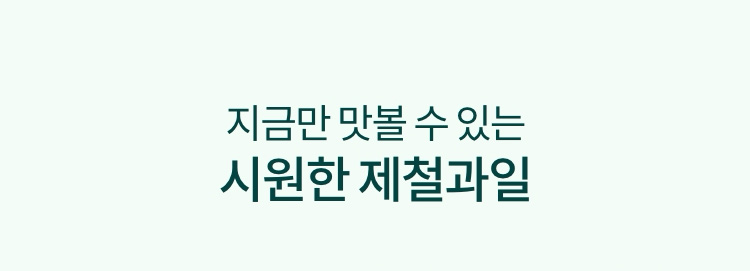 지금만 맛볼 수 있는 시원한 제철과일