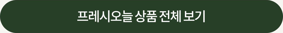 전체보기