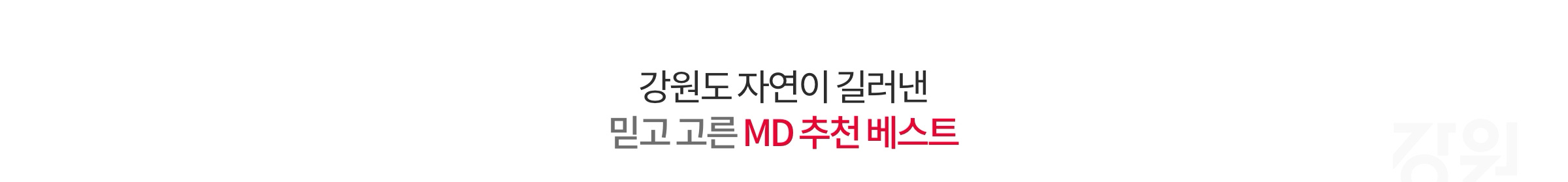 강원도 자연이 길러낸 믿고 고른 MD 추천 베스트