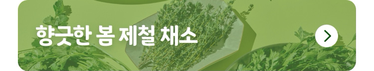 향긋한 봄 제철 채소