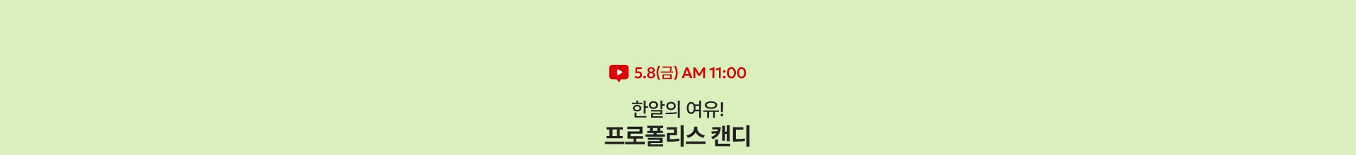 5.8(금) AM 11:00