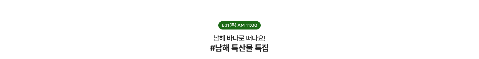 남해 특산물 특집 / 6.11(목) AM 11:00