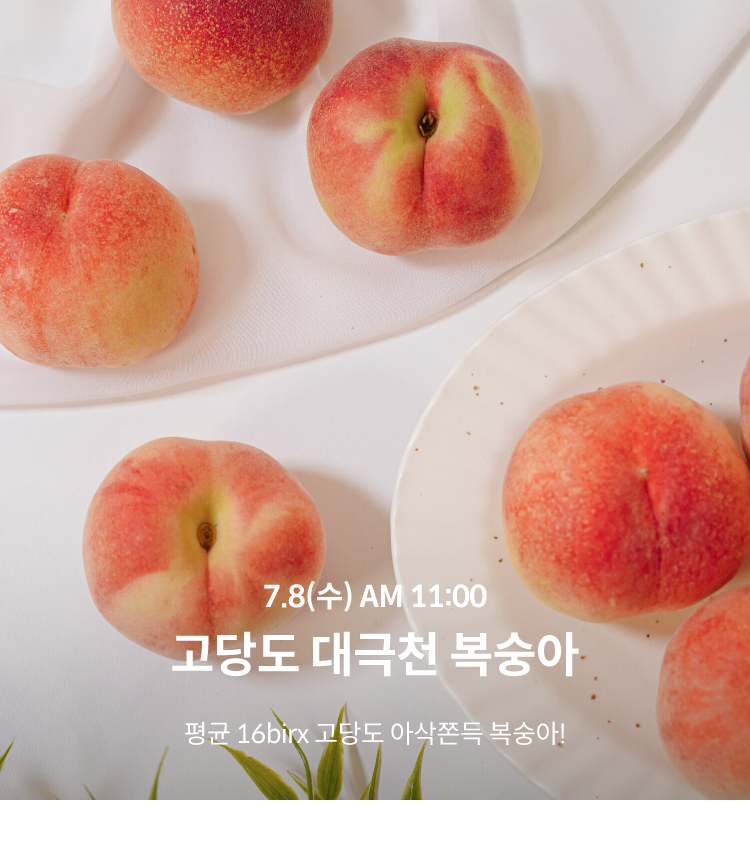 고당도 대극천 복숭아 / 7.8(수) AM 11:00