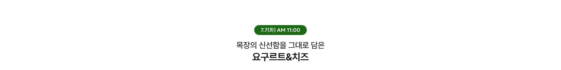 요구르트 치즈 / 7.7(화) AM 11:00