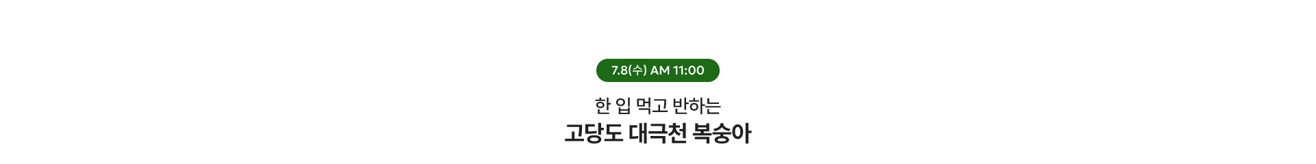 고당도 대극천 복숭아 / 7.8(수) AM 11:00