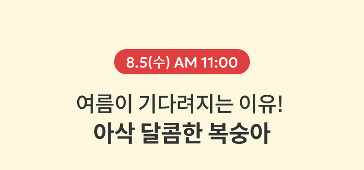 8.5(수) AM 11:00