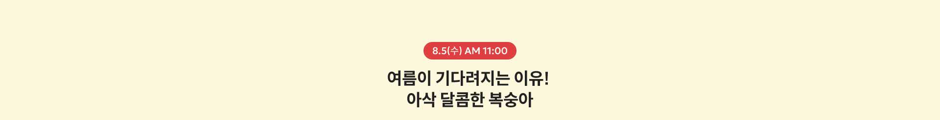 8.5(수) AM 11:00