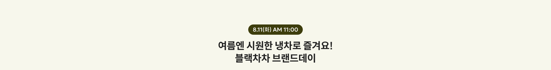 8.11(화) AM 11:00
