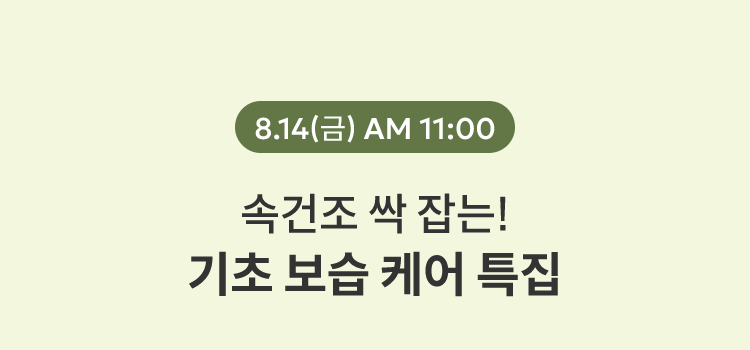 8.14(금) AM 11:00