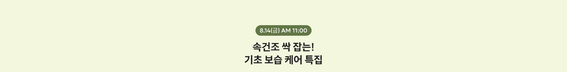 8.14(금) AM 11:00