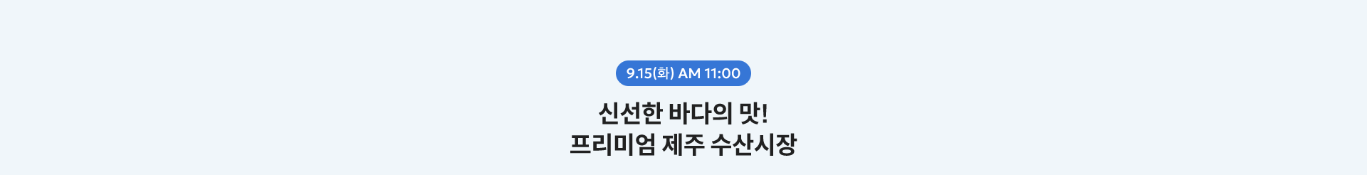 9.15(화) AM 11:00