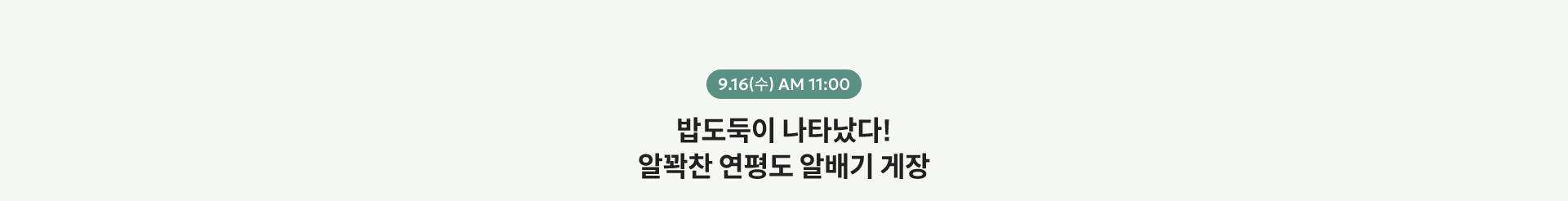 9.16(수) AM 11:00