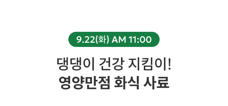 9.22(화) AM 11:00