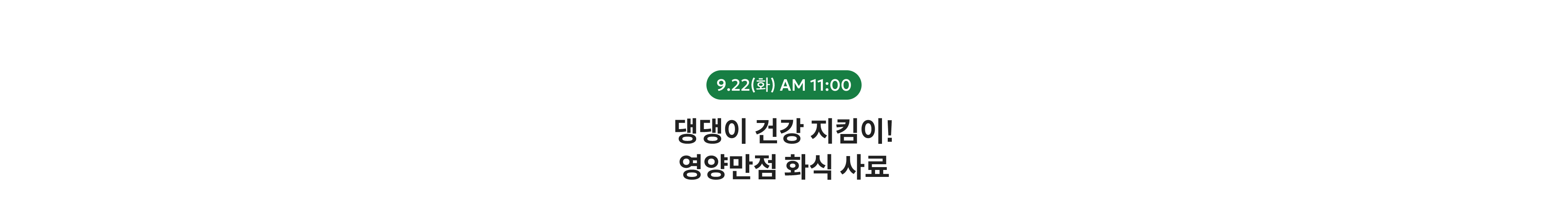 9.22(화) AM 11:00