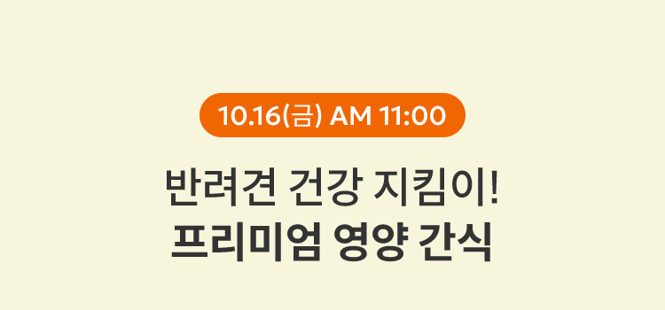 10.16(금) AM 11:00
