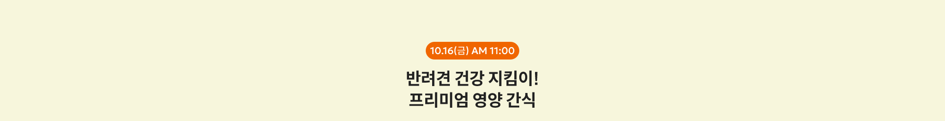 10.16(금) AM 11:00