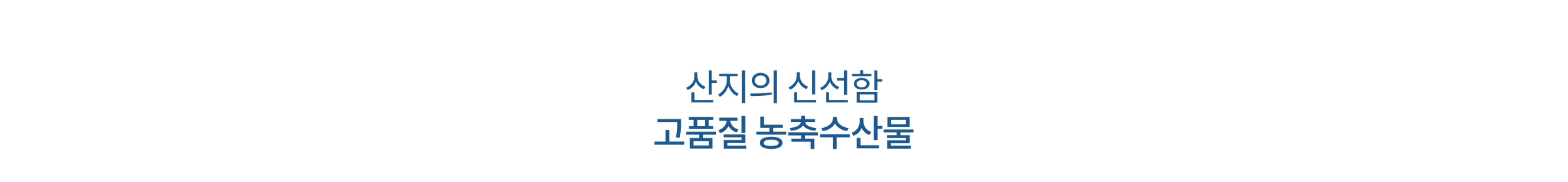 여름 입맛 되찾을 간편한 한 끼 메뉴