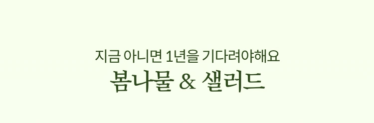 지금 아니면 1년을 기다려야해요 봄나물 & 샐러드