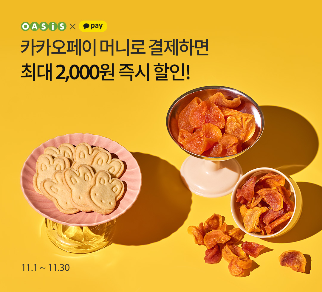 카카오페이머니
