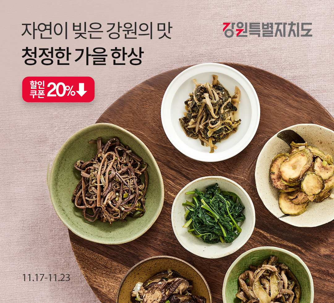 11월 강원기획전