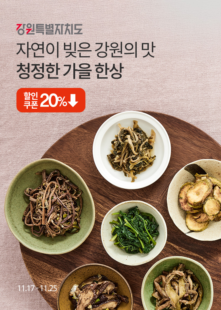 11월 강원기획전