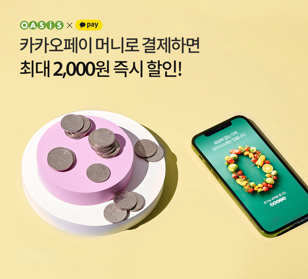 카카오페이 머니